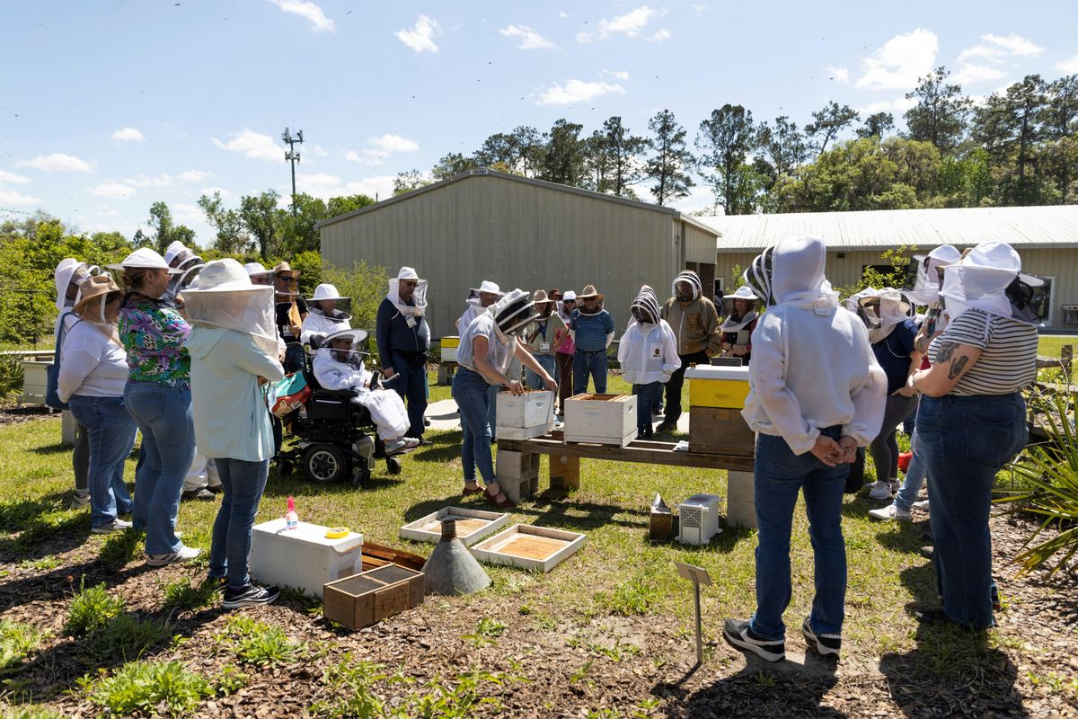 Intro to Beekeeping Workshop Series
