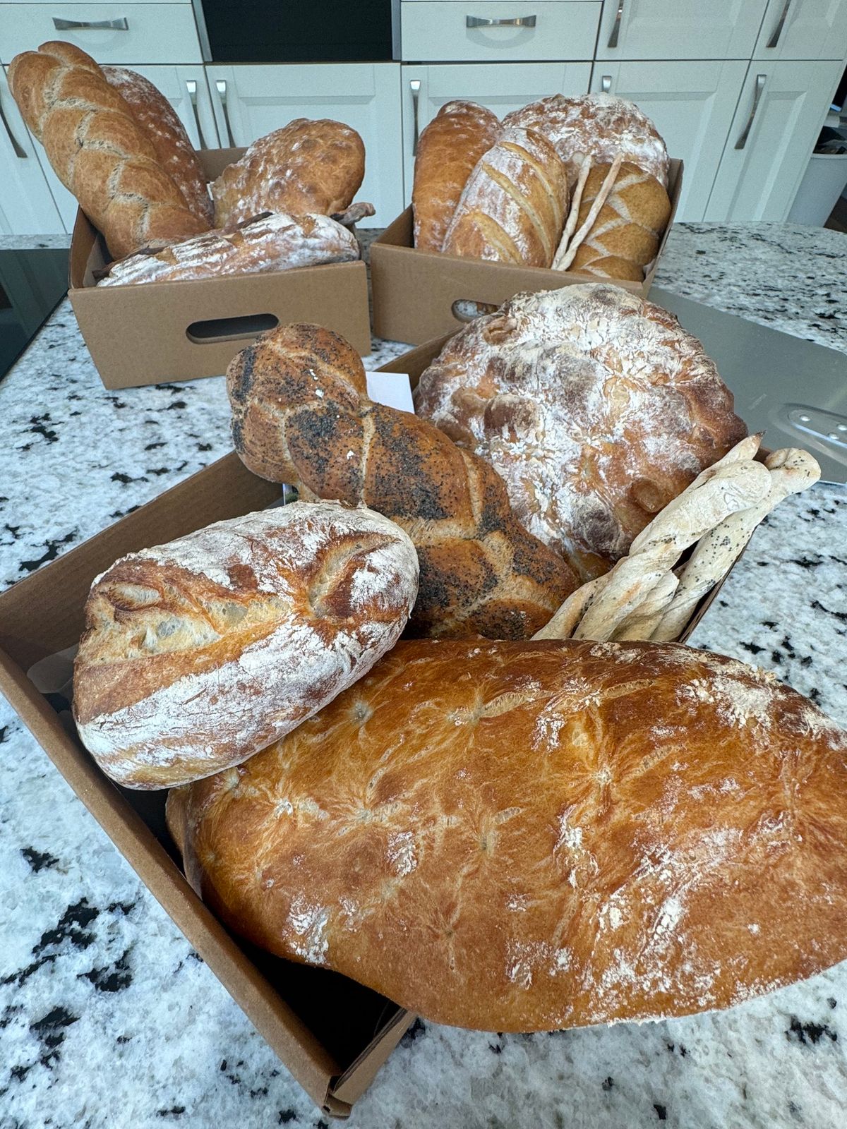 Sourdough Breadmaking and Breads using Starter Doughs Workshop