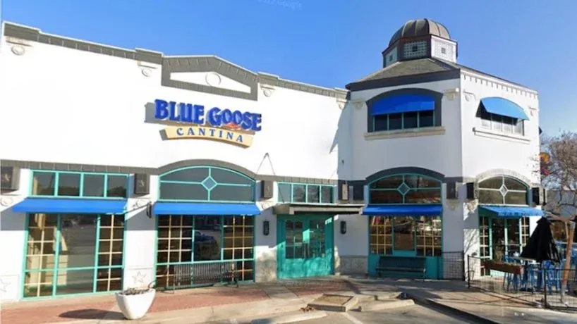 Saturday Social (at Blue Goose Cantina)