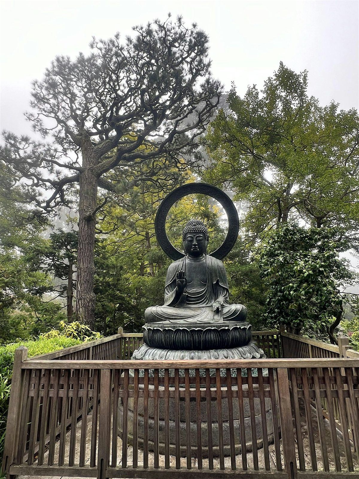 Walk&Meditate at Japanese Tea Garden with Venerable XianLai(Free admission)