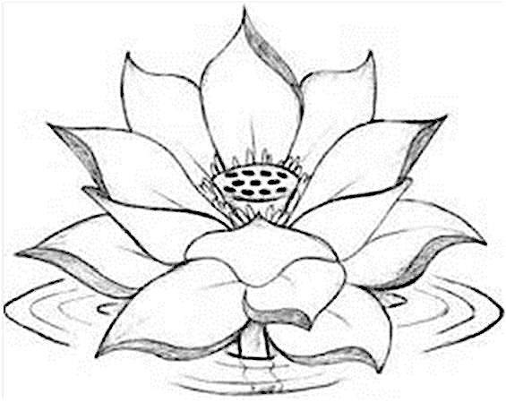 Zen Buddhist Meditation
