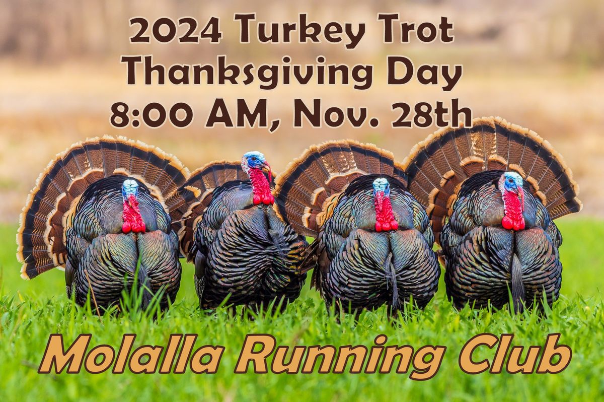 2024 Turkey Trot Fun Run \/ Walk