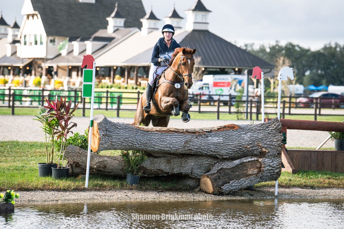 The Event at TerraNova VIP Brunch and Horse Show