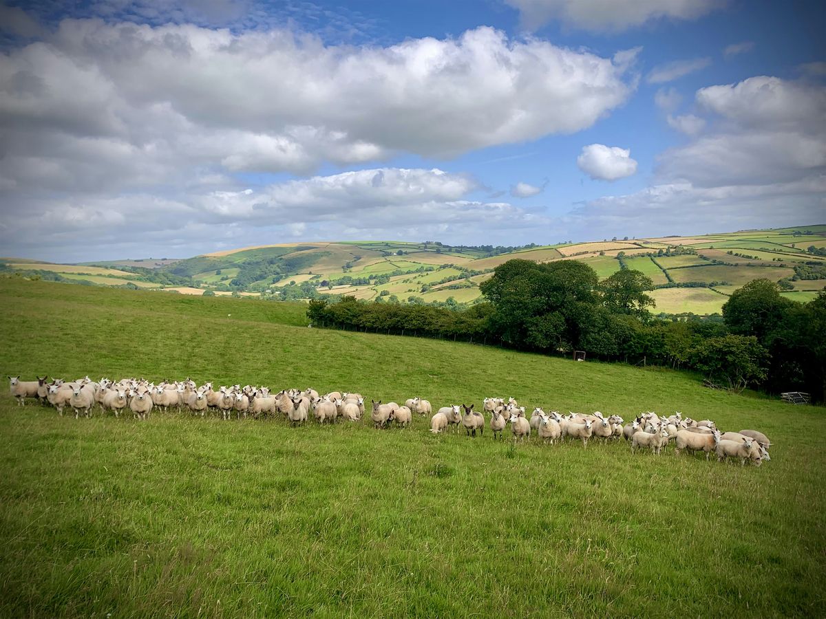 Payments for Pasture - Quakers Farm