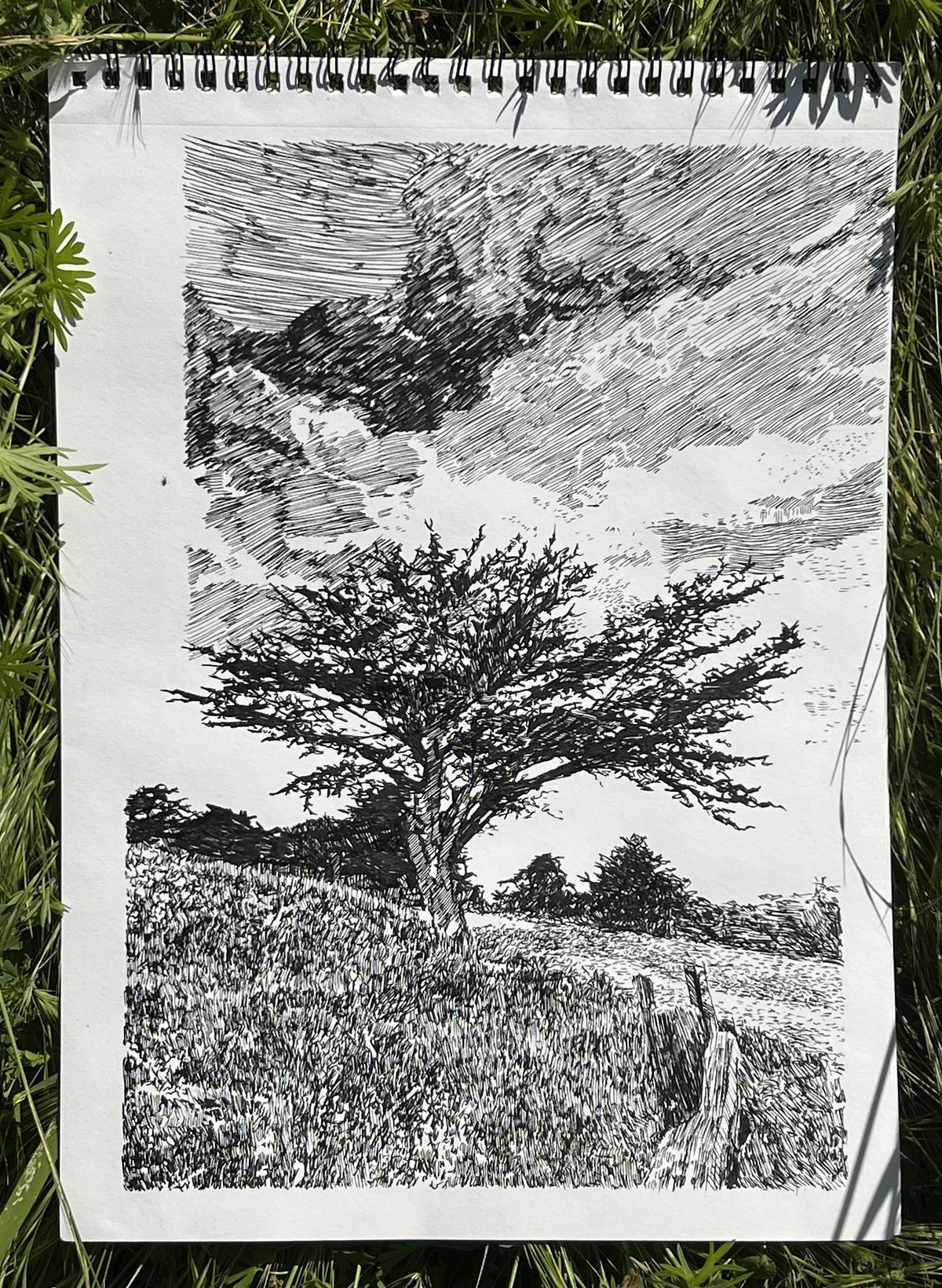 Artist Hike: Scenic Splendor Sketches  with Joshua Moreno