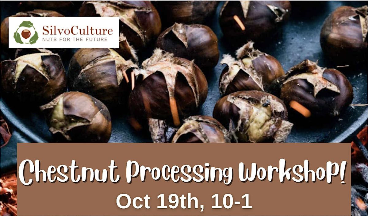 Chestnut Processing Workshop