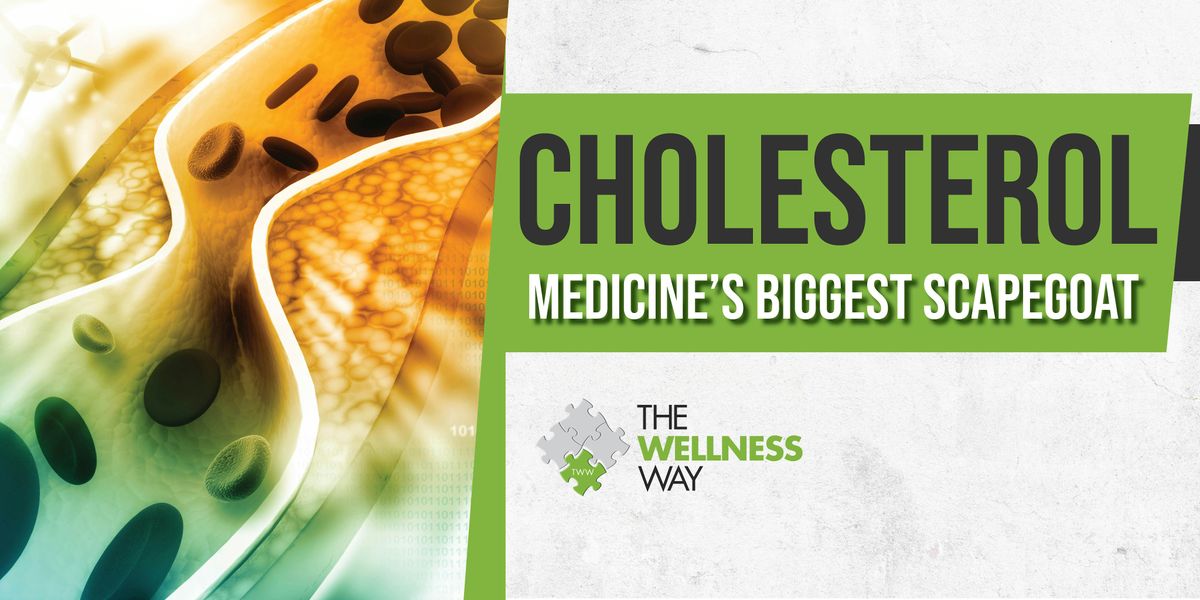 Cholesterol - Medicine's Biggest Scapegoat