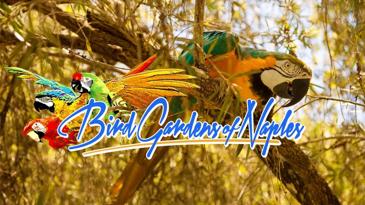 Bird Gardens of Naples