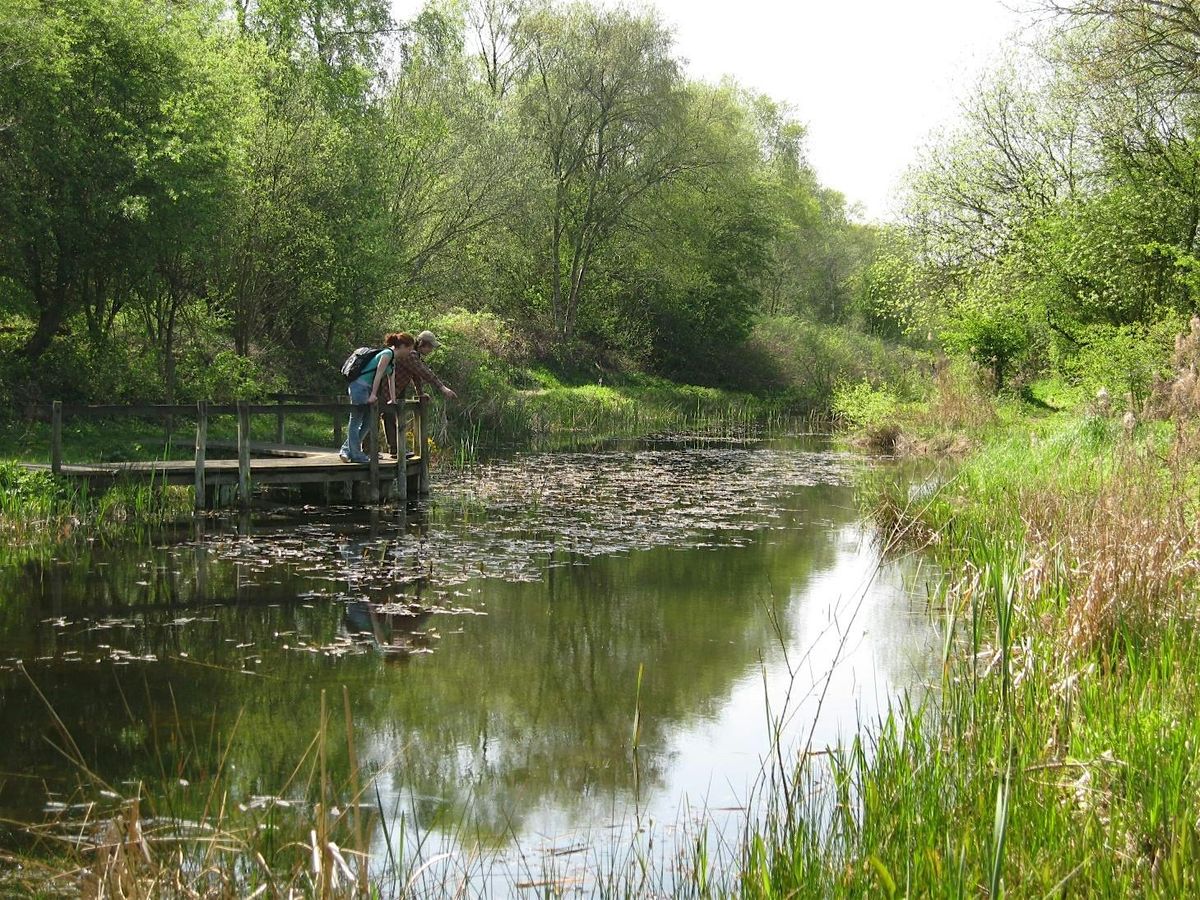 Potteric in Pictures: A Voluntary Ranger's Year