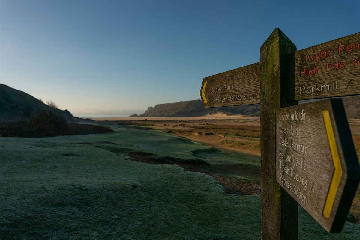 Coastal Mushroom foraging on the Gower