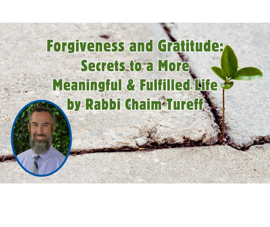 Forgiveness & Gratitude: Secrets to a More Meaningful & Fulfilled Life
