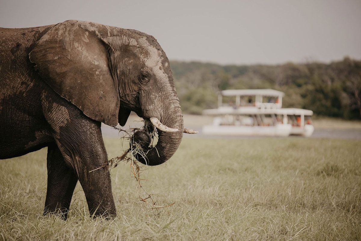 Personalised Safari Holiday to Botswana