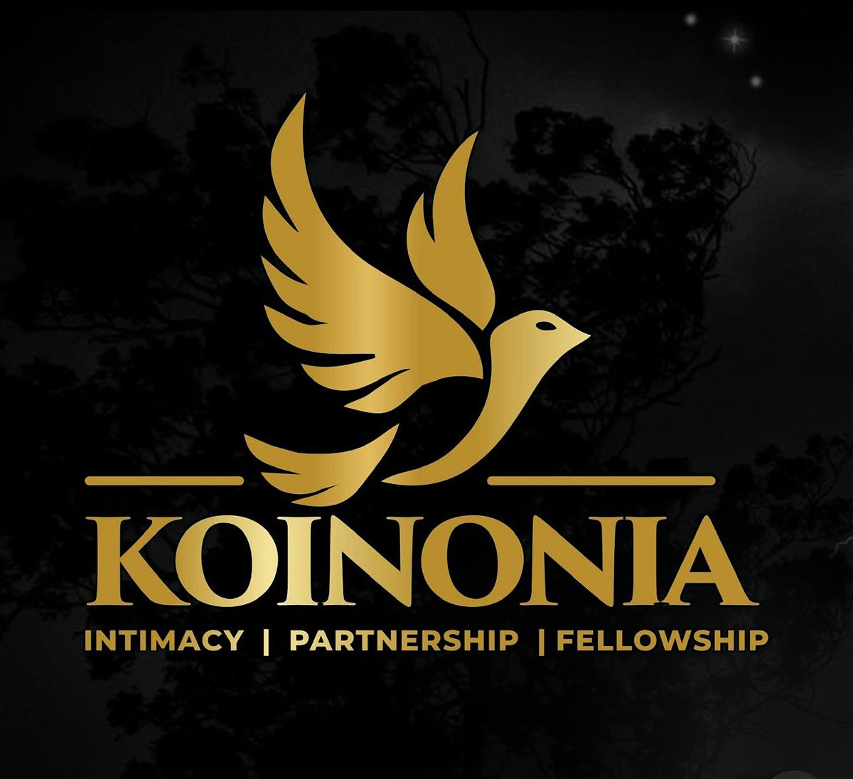 KOINONIA USA - SUNDAY SERVICE WITH Apostle Joshua Selman