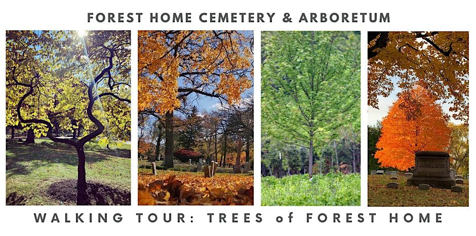 Walking Tour: Trees of Forest Home