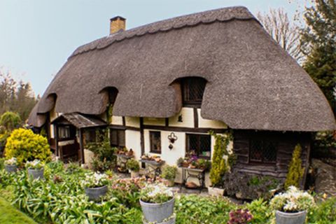 Cruise to "Old Thatch" for the spring garden tea & cake!