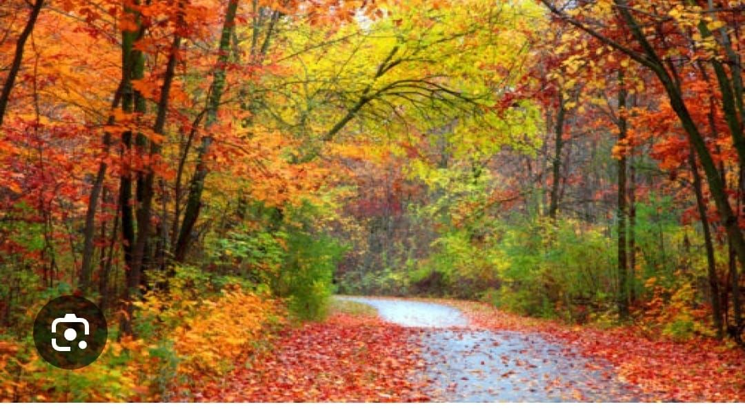 Annual Hopkins American Legion Riders Fall Colors Ride