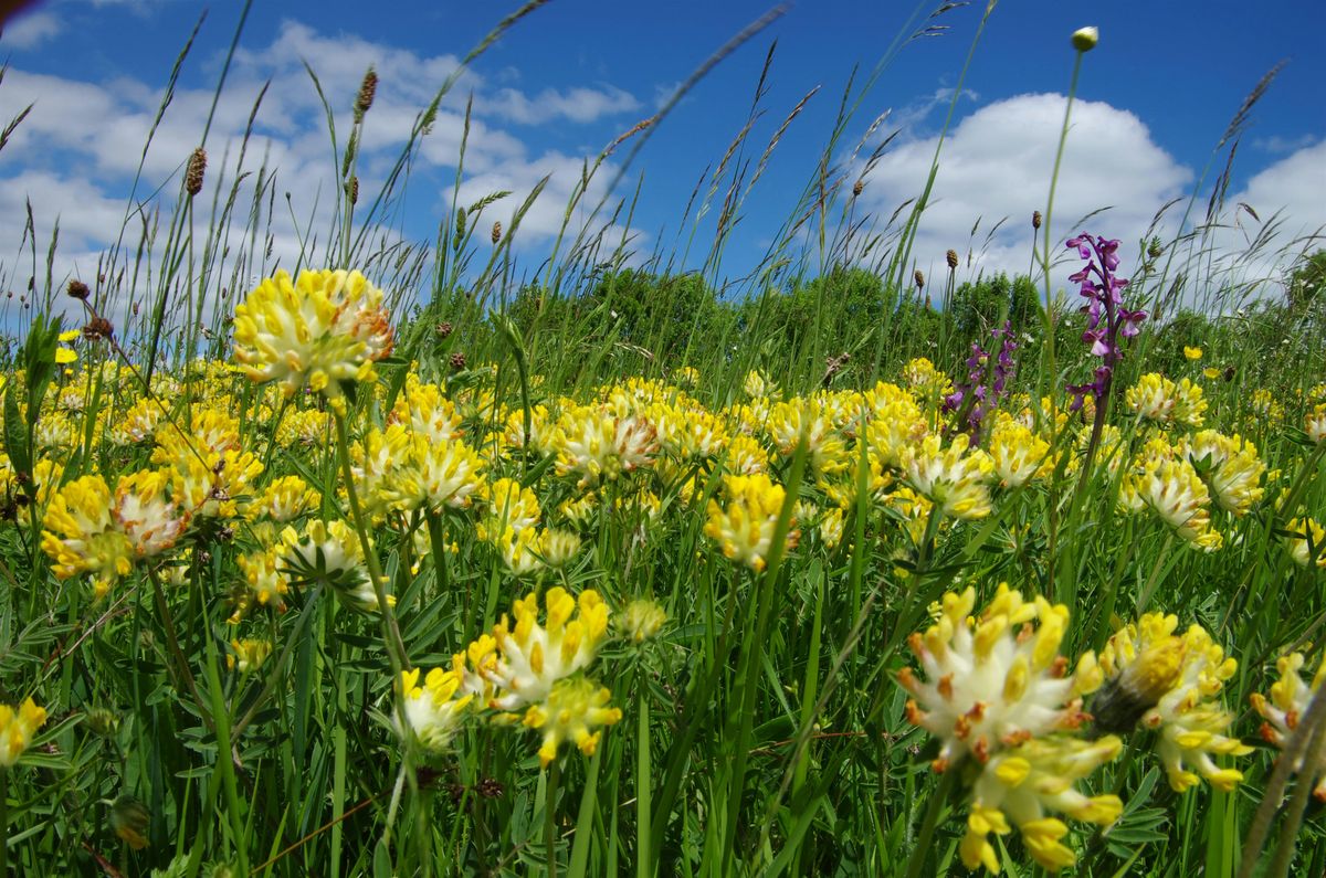 Group for recently qualified Person-Centred practitoners