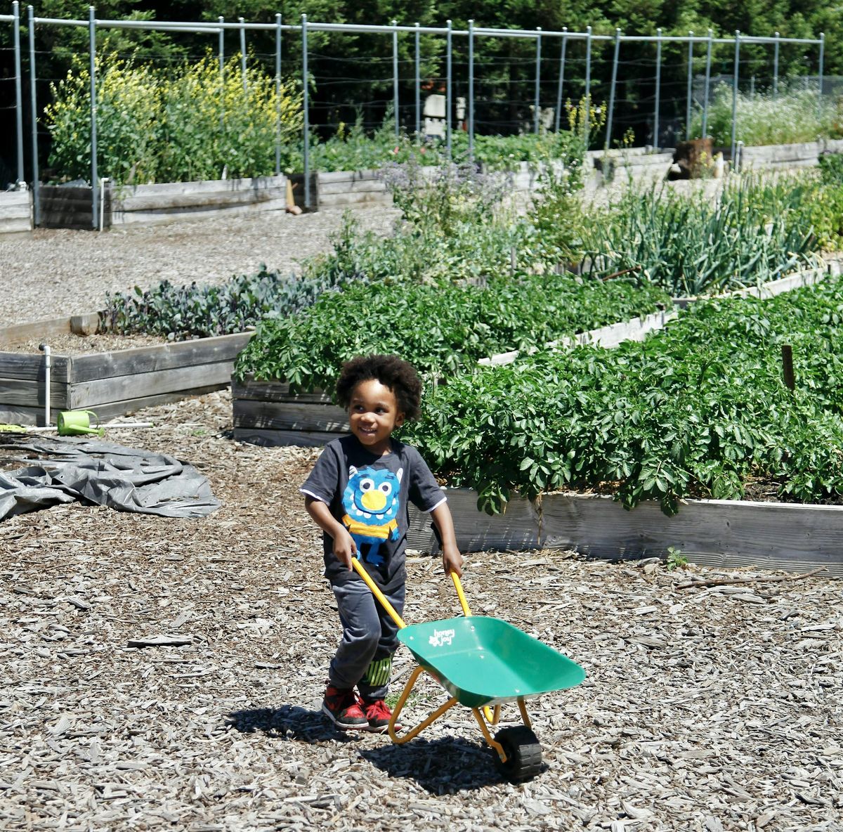 Play Date at the Farm