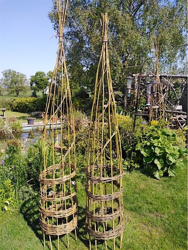Weave a willow plant support RLF ERC 2806