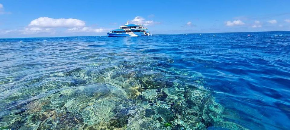 Great Barrier Reef Snorkelling Day Tour