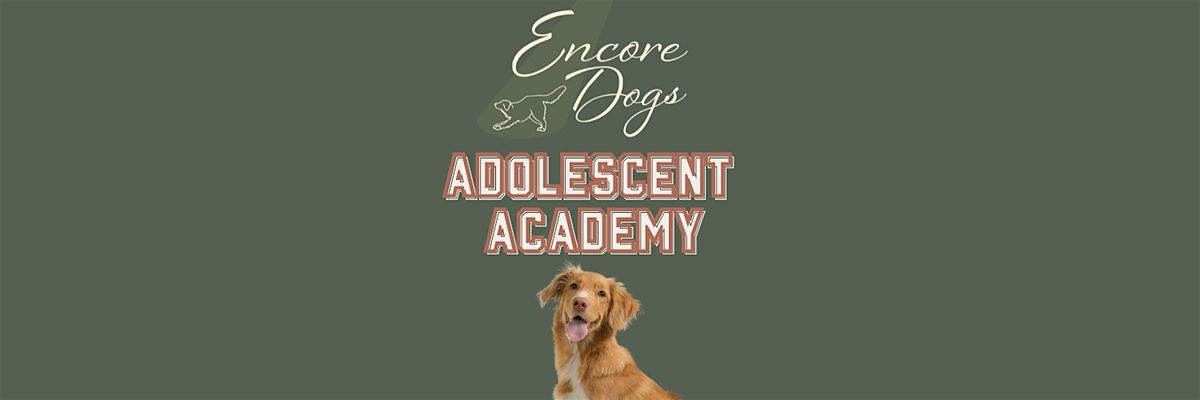 Encore Dogs - Adolescent Academy