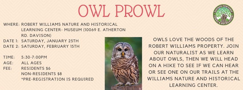 Owl Prowl