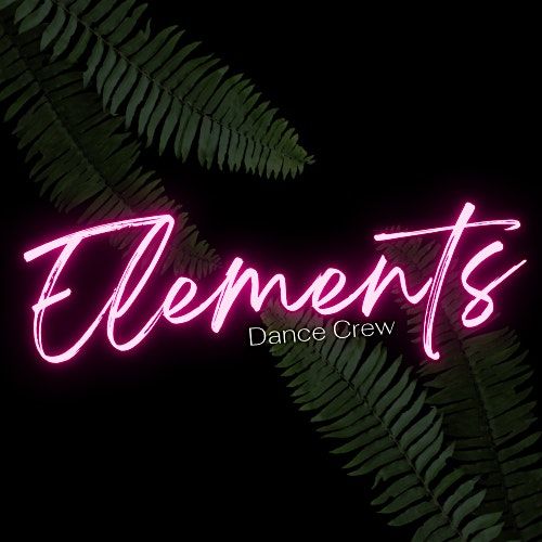 Elements Dance Crew Auditions
