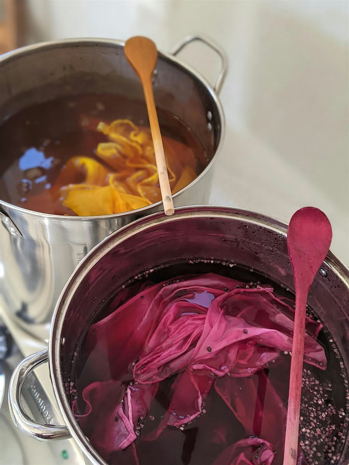 Introduction to Natural Dye & Shibori