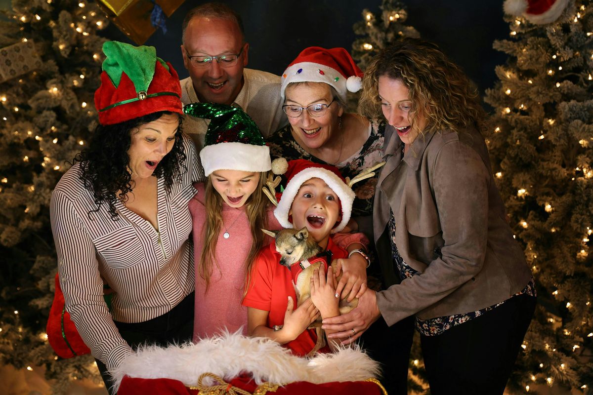 Sustainable Santa Workshop &  Family Portraits