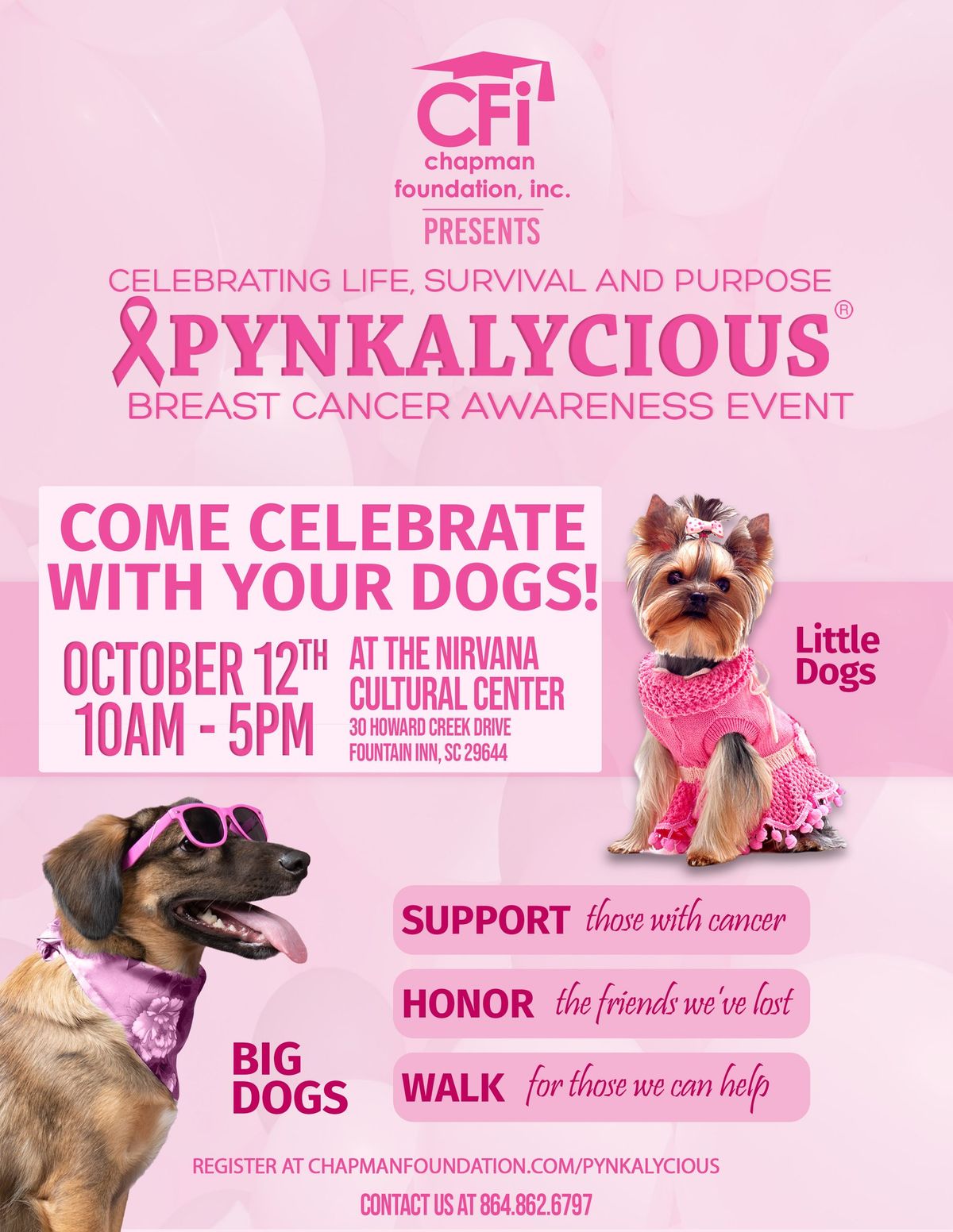 Pynkalicious Breast Cancer Awareness Festival