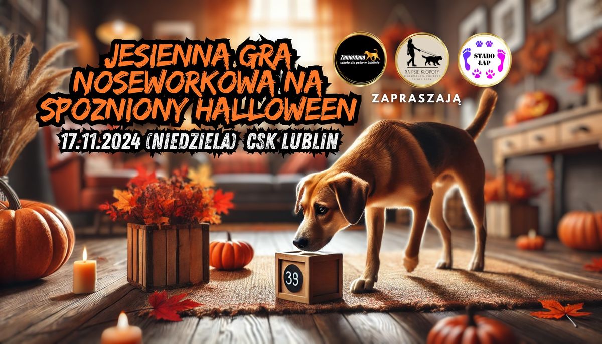 Jesienna gra noseworkowa na sp\u00f3\u017aniony Halloween