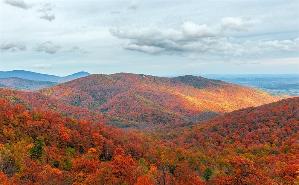 Fall Foliage in Skyline Drive