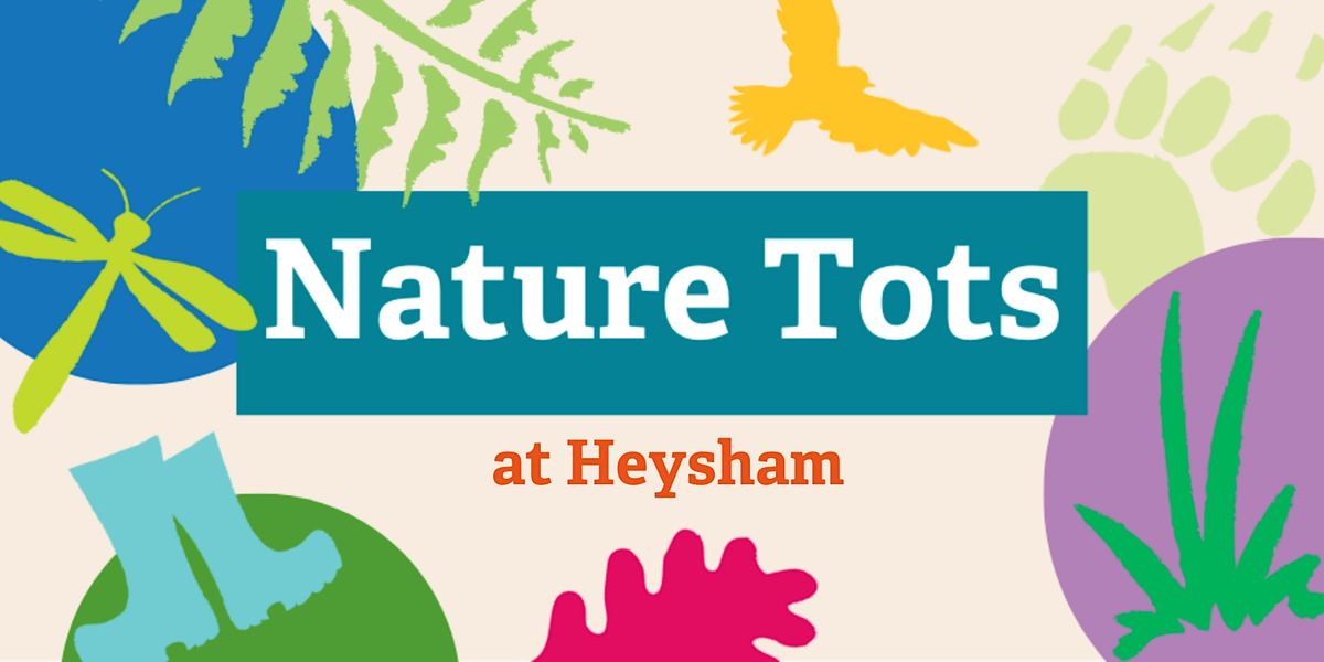 Nature Tots at Heysham Nature Reserve - 20th November 2024