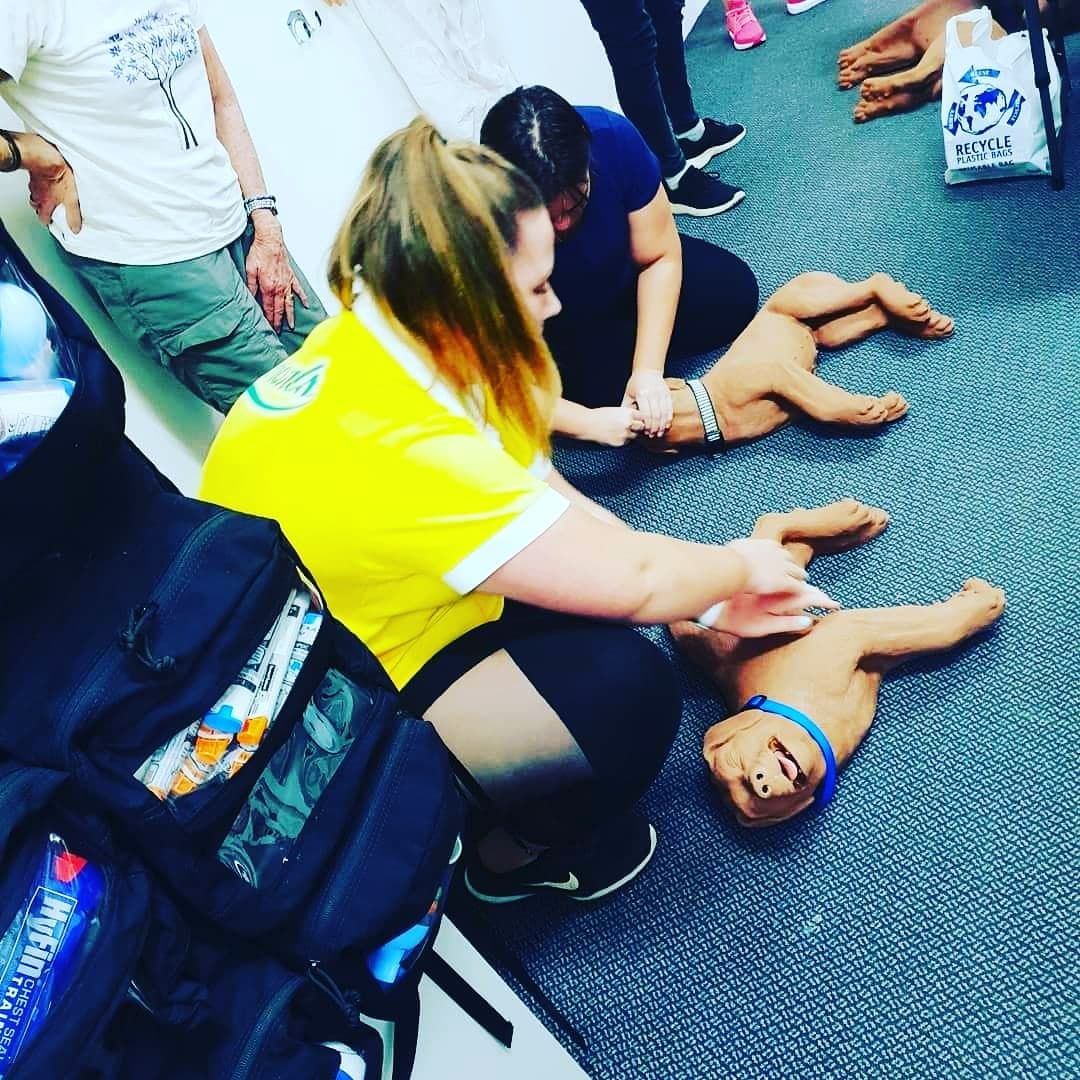 SEPT\/2024 - Mackey, QLD - Dog First Aid Course