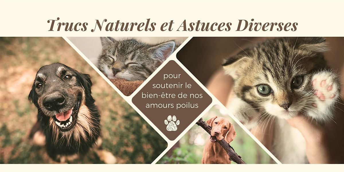 Pr\u00e9vention et soutien naturel pour nos amis \u00e0 4 pattes