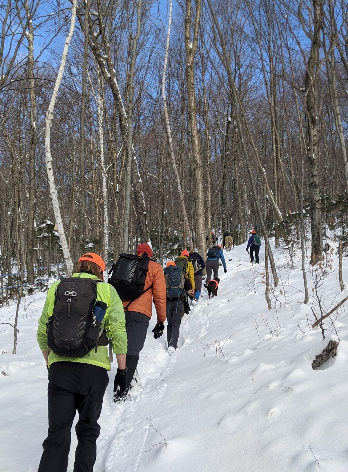 Winter Hike at Little Cataraqui Creek! 