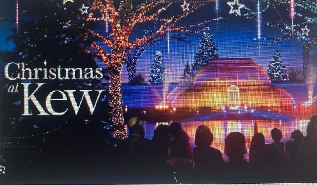 The Kew Christmas illuminated Christmas walk