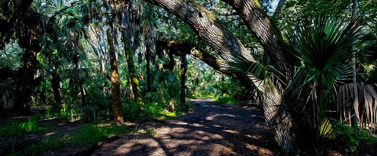 Field Trip: Sebastian Inlet State Park