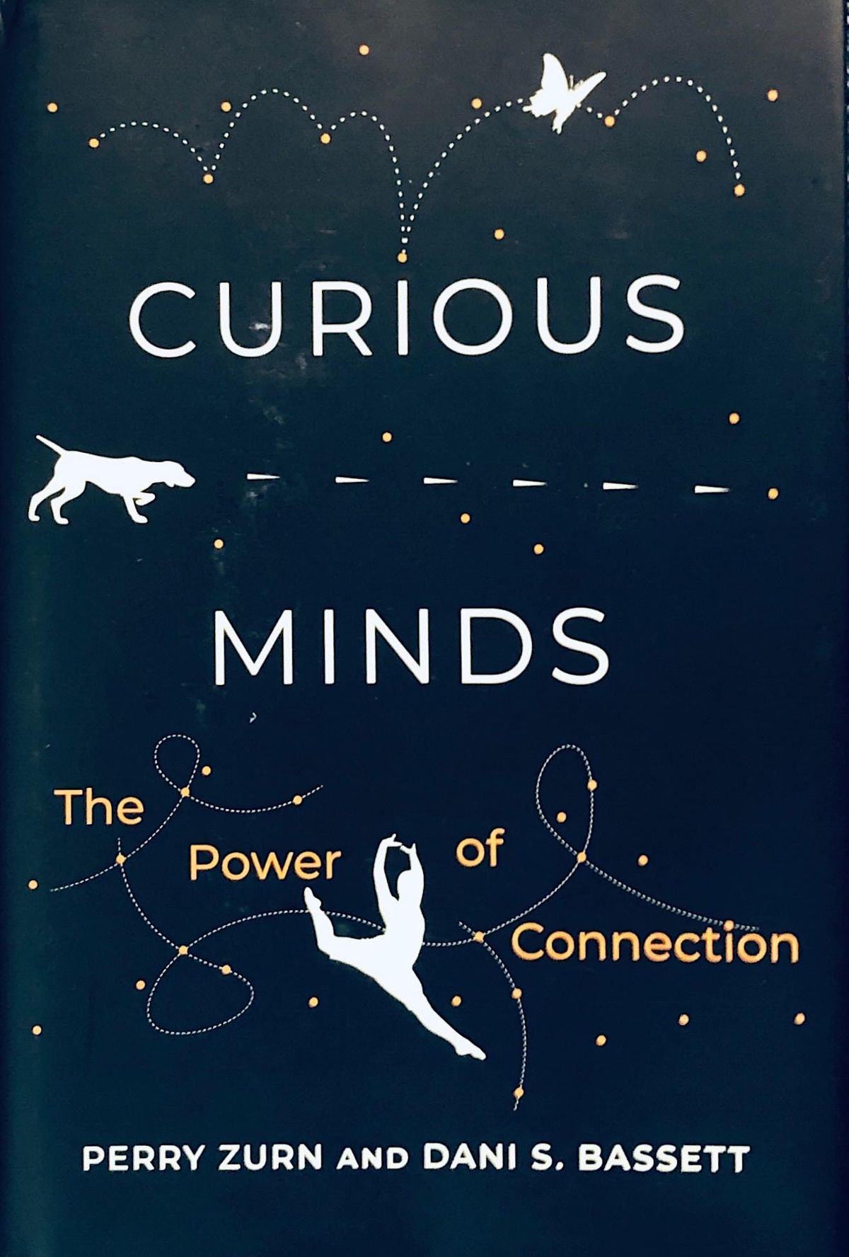 Dr. Dani Bassett and Dr. Perry Zurn  Curious Minds: The Power of Connection