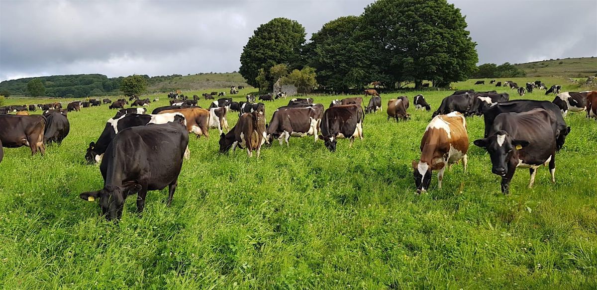 Herbal leys in the White Peak