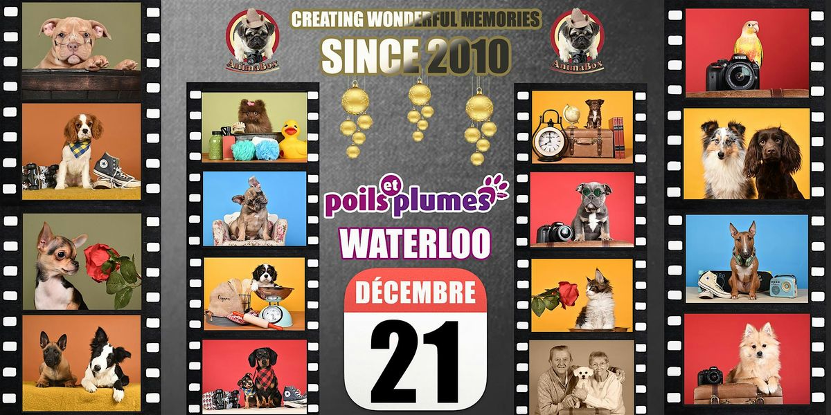 POILS & PLUMES WATERLOO SHOOTING PHOTO