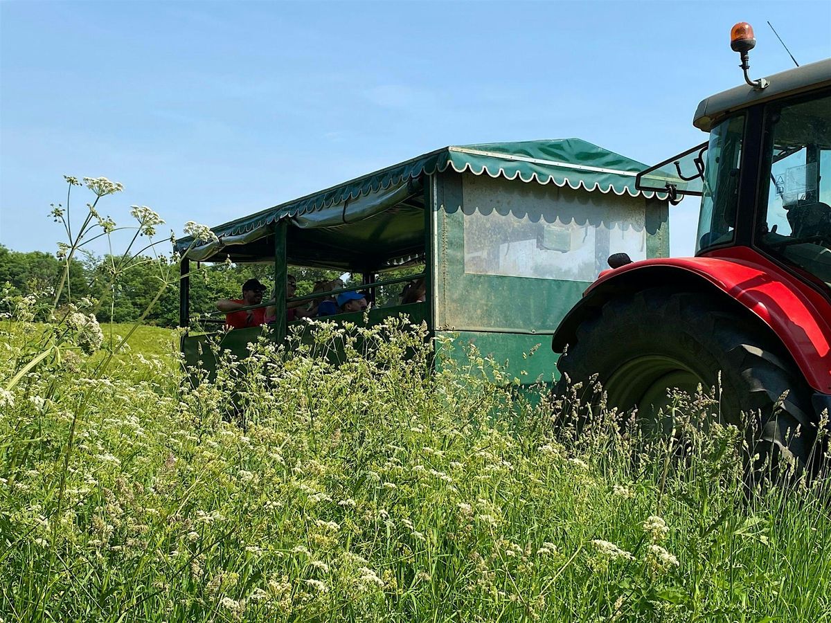 Open Farm Sunday at The Allerton Project