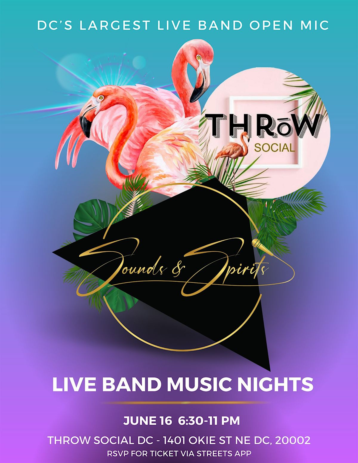 Sounds & Spirits June - DC's Largest Live Band Open Mic