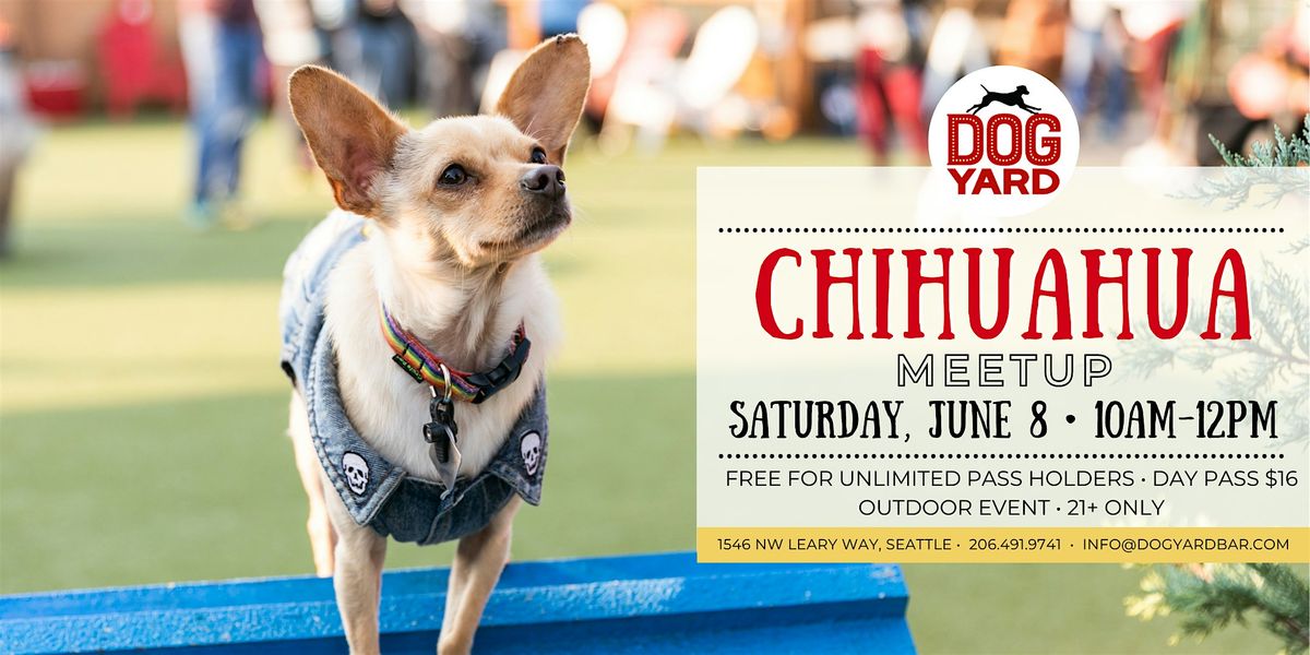 Chihuahua Meetup at the Dog Yard Bar - Saturday, June 8