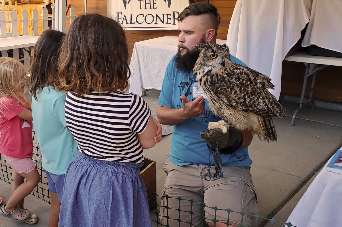 Meet the Raptor Ambassadors with The Falconer