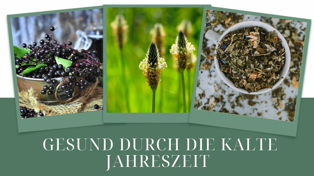 Kr\u00e4uterworkshop "Gesund durch die kalte Jahreszeit" 