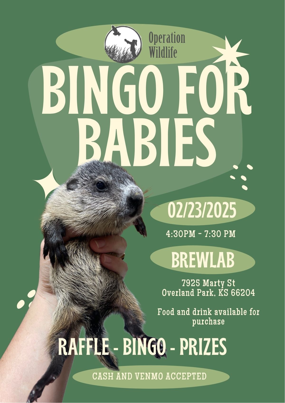 Bingo for Babies