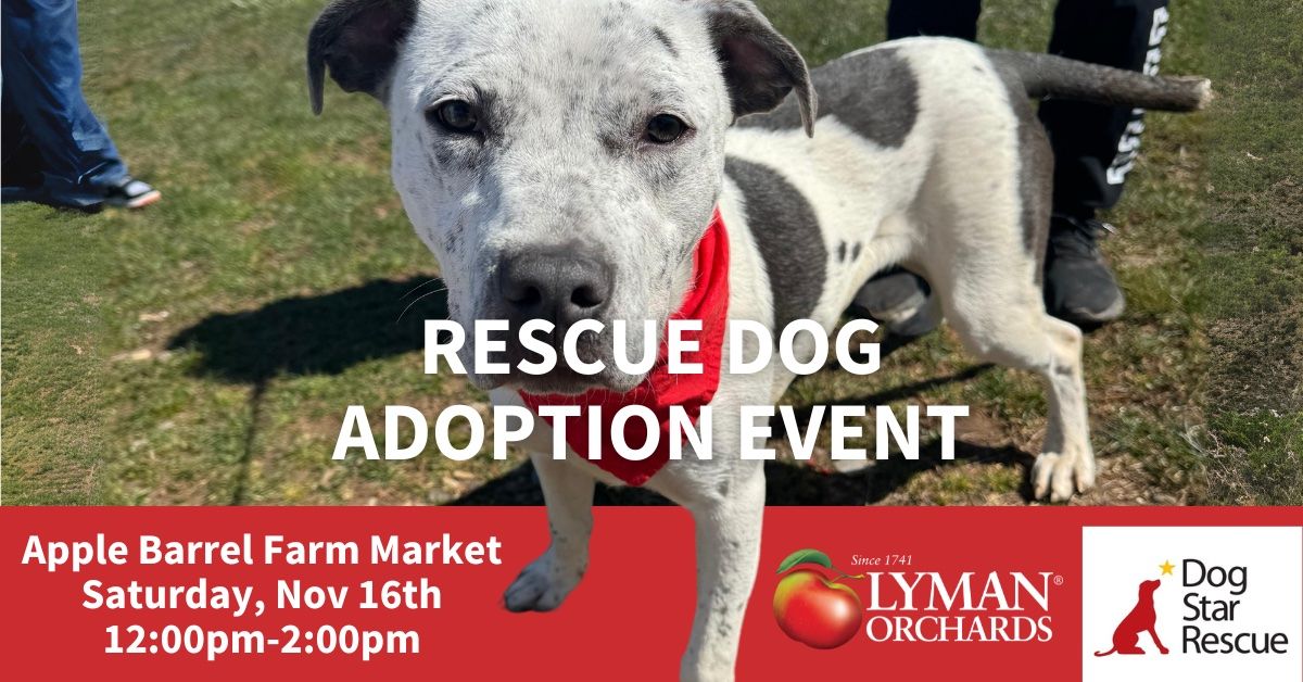 Adopt a Rescue Dog at Lyman Orchards