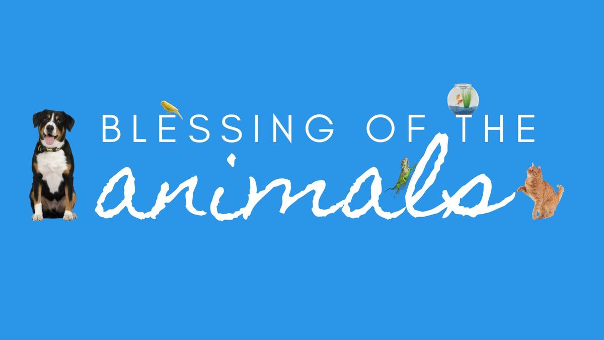 Blessing of the Animals (and MORE!)