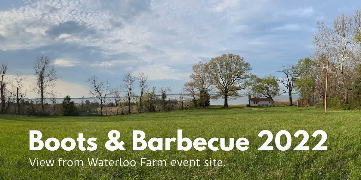 Boots and Barbecue (and oysters!) 2022, Waterloo Farm, King 17